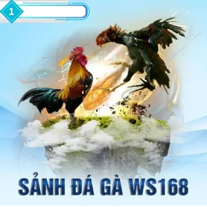 Cá cược bóng đá tại gk88 nhà cái