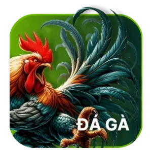 Khuyến Mãi Đá Gà